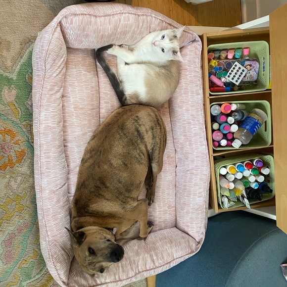 Meet your Posher, Elliot - Picture 5 of 7